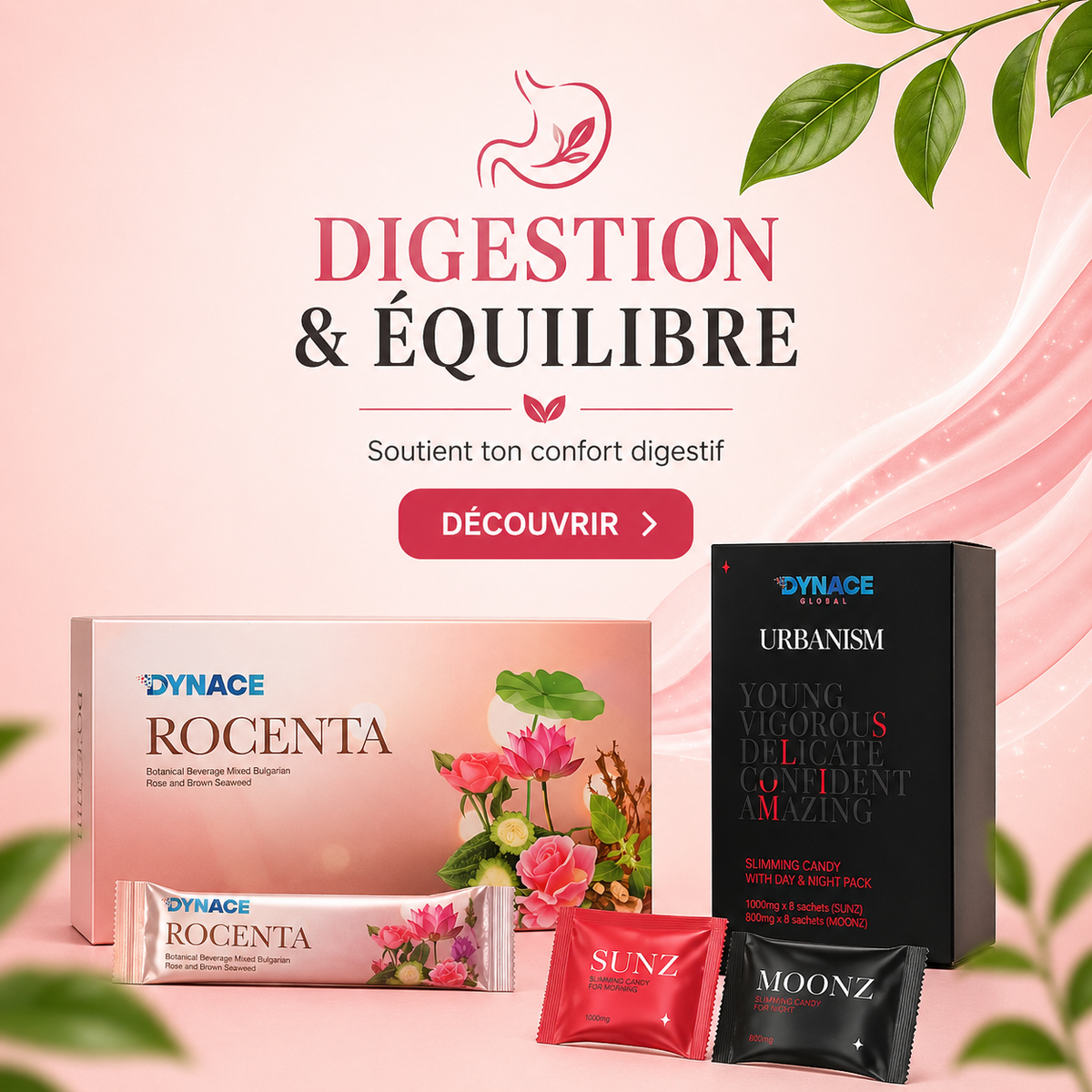 Digestion & Équilibre